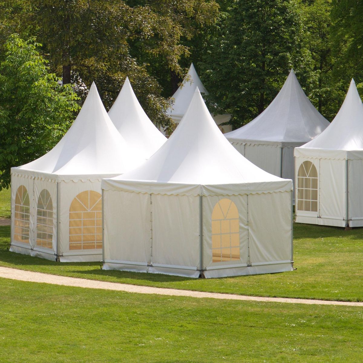 Verschiedene Zelte auf einer Wiese